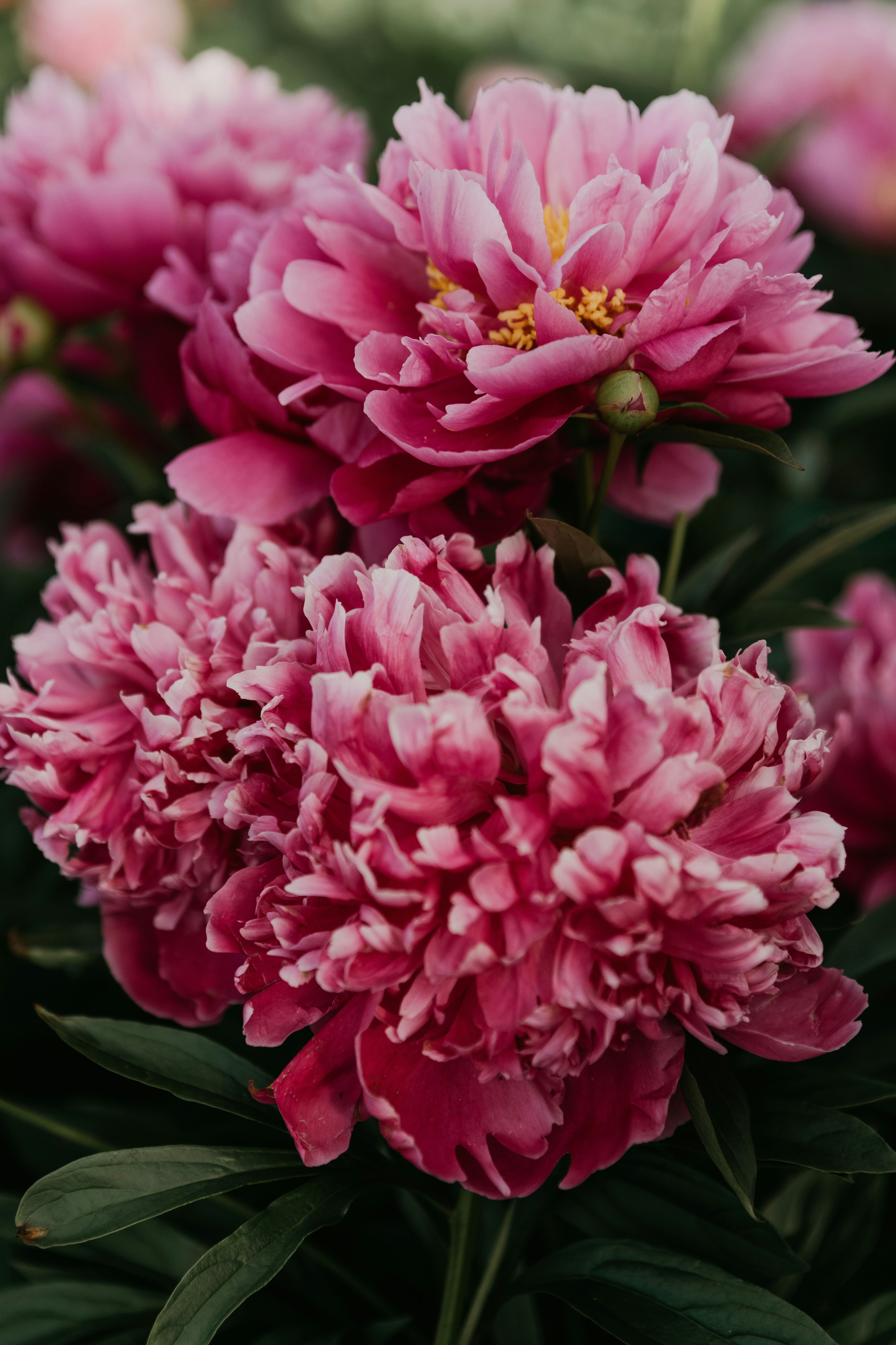 Photo by anitaaustvika