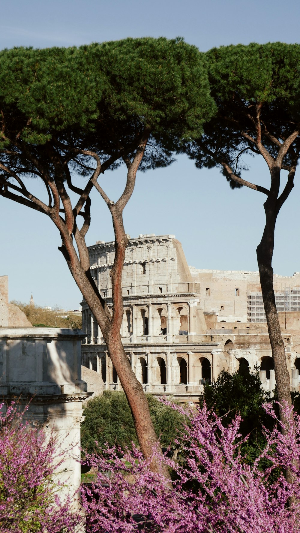 a view of a building through some trees