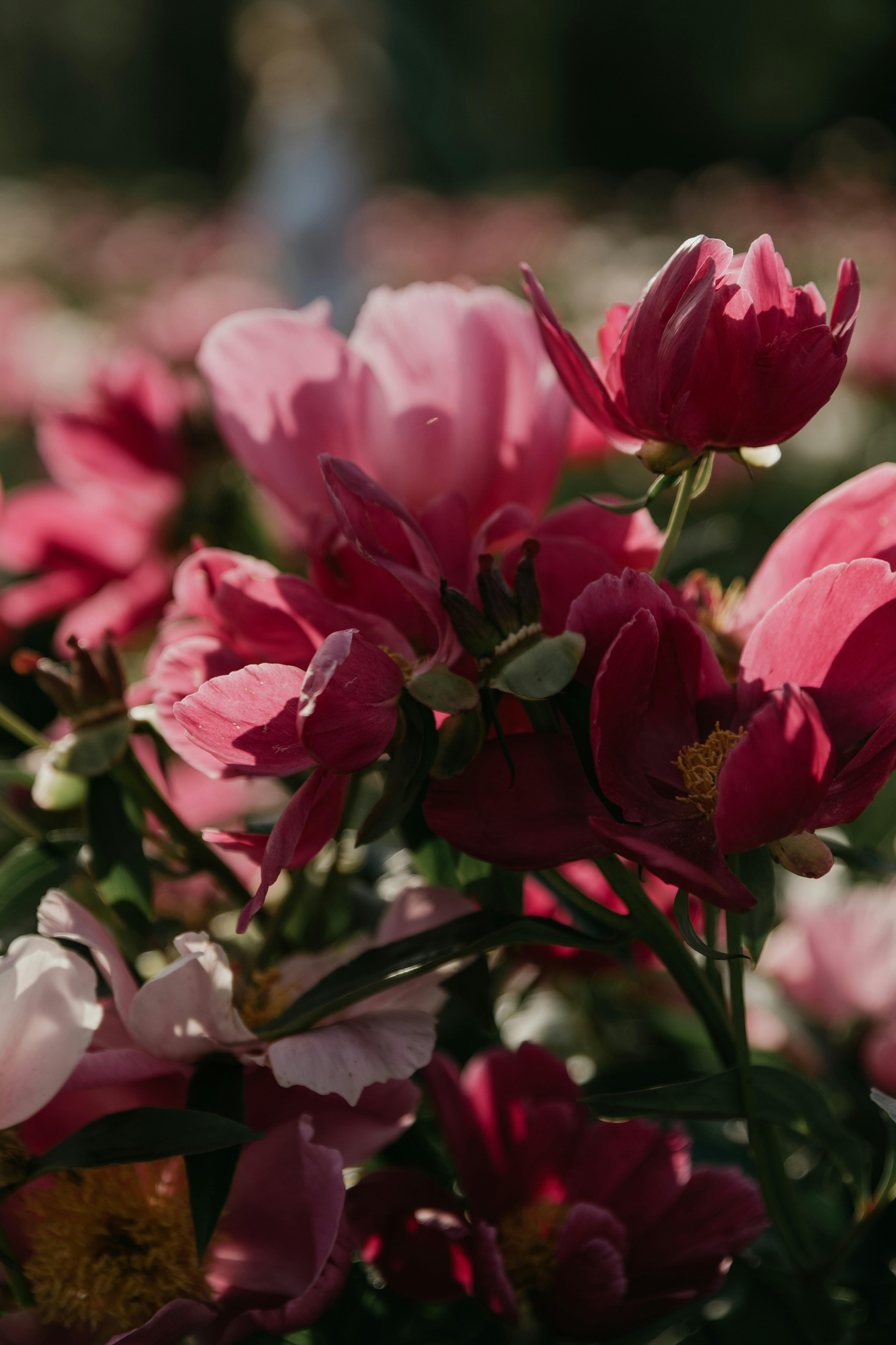 Photo by anitaaustvika