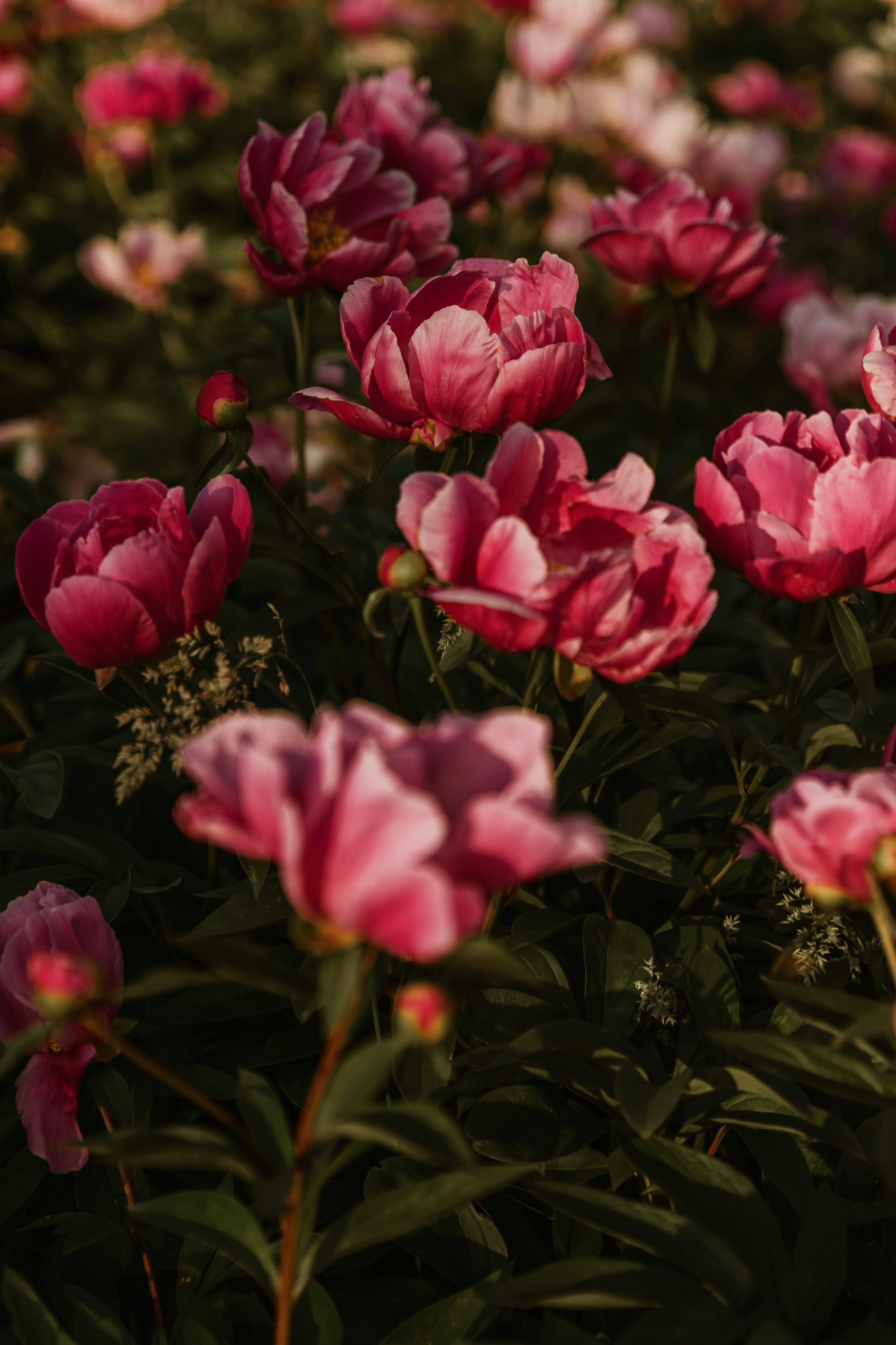 Photo by anitaaustvika