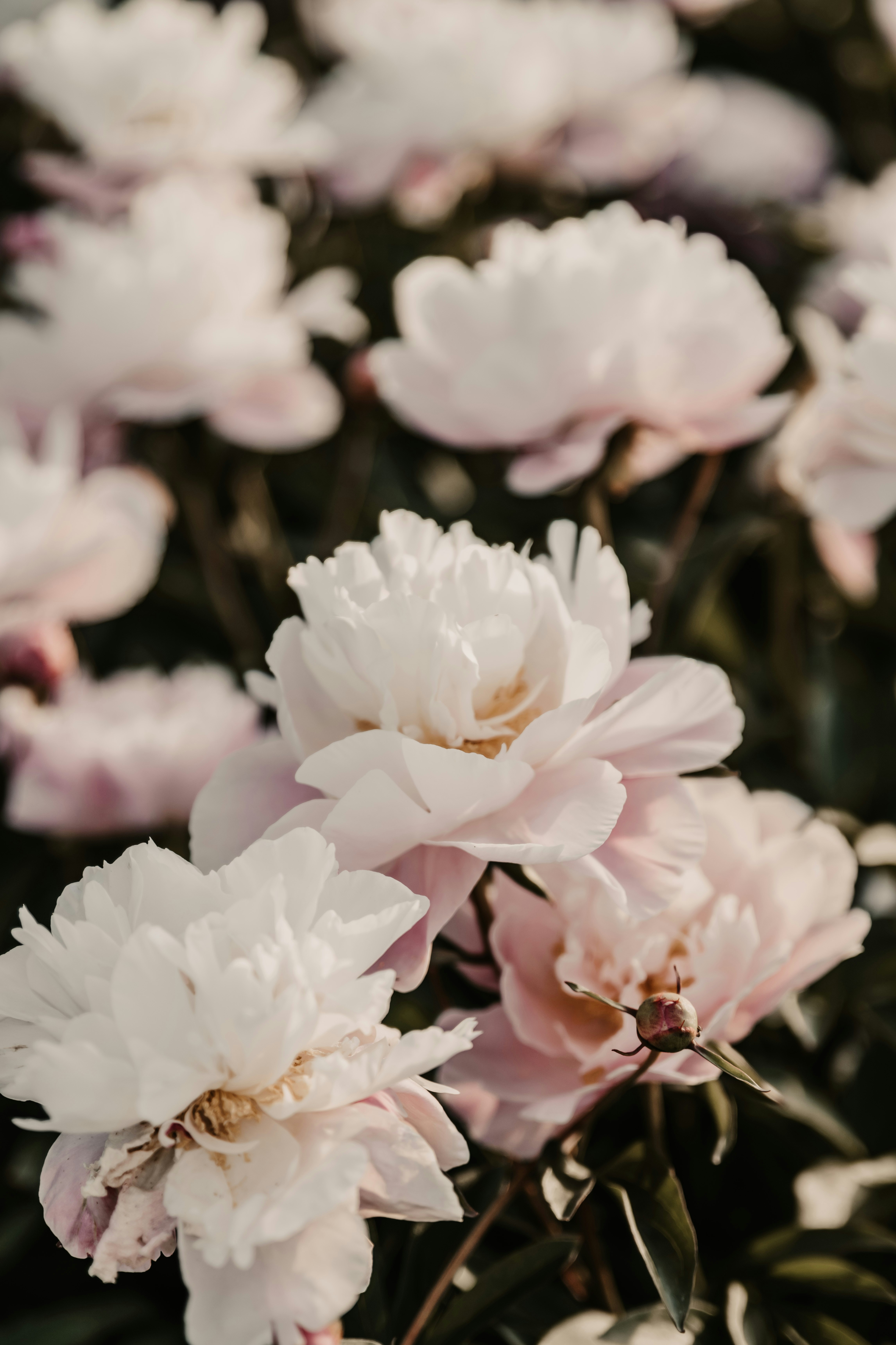 Photo by anitaaustvika