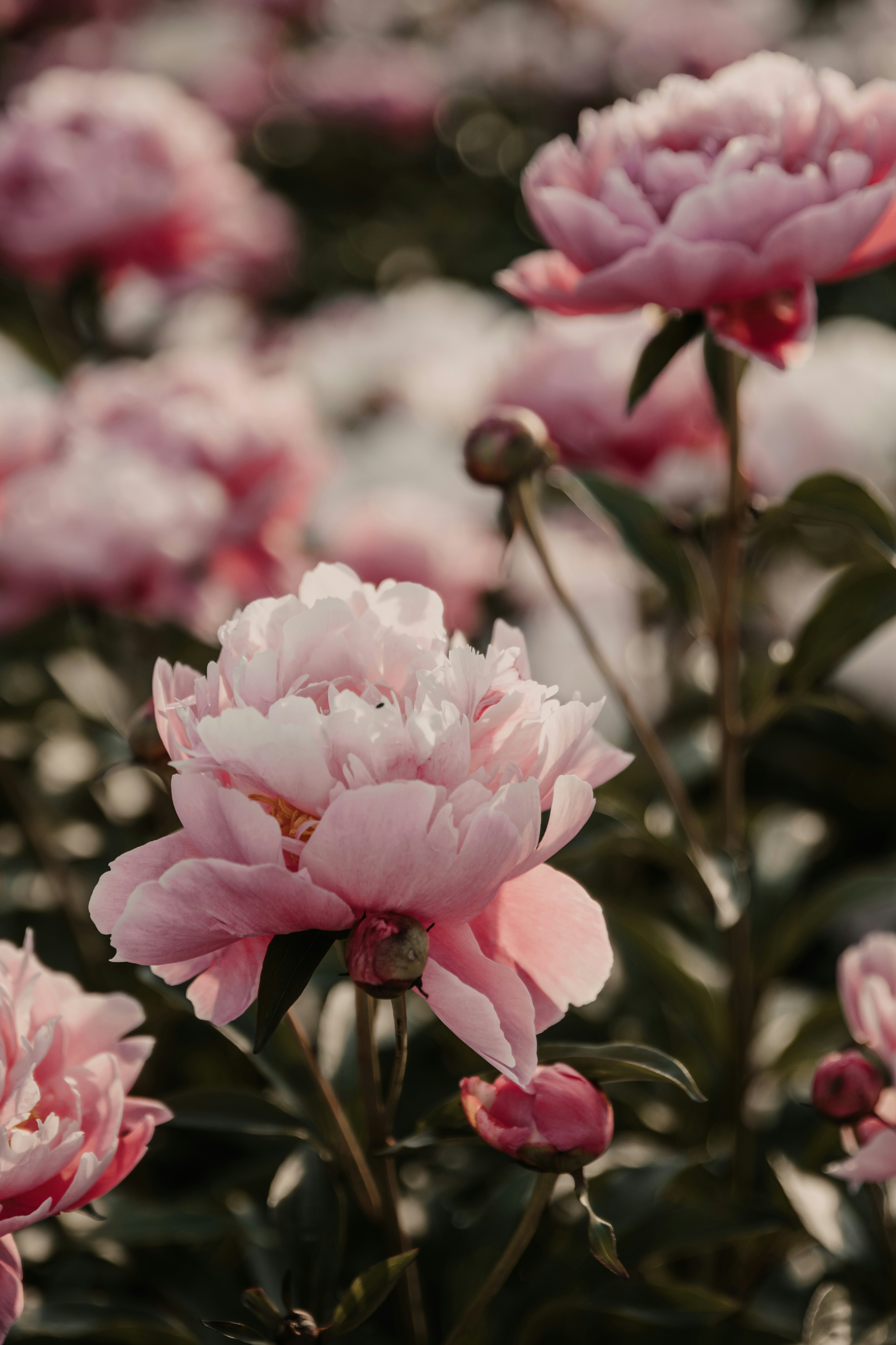 Photo by anitaaustvika