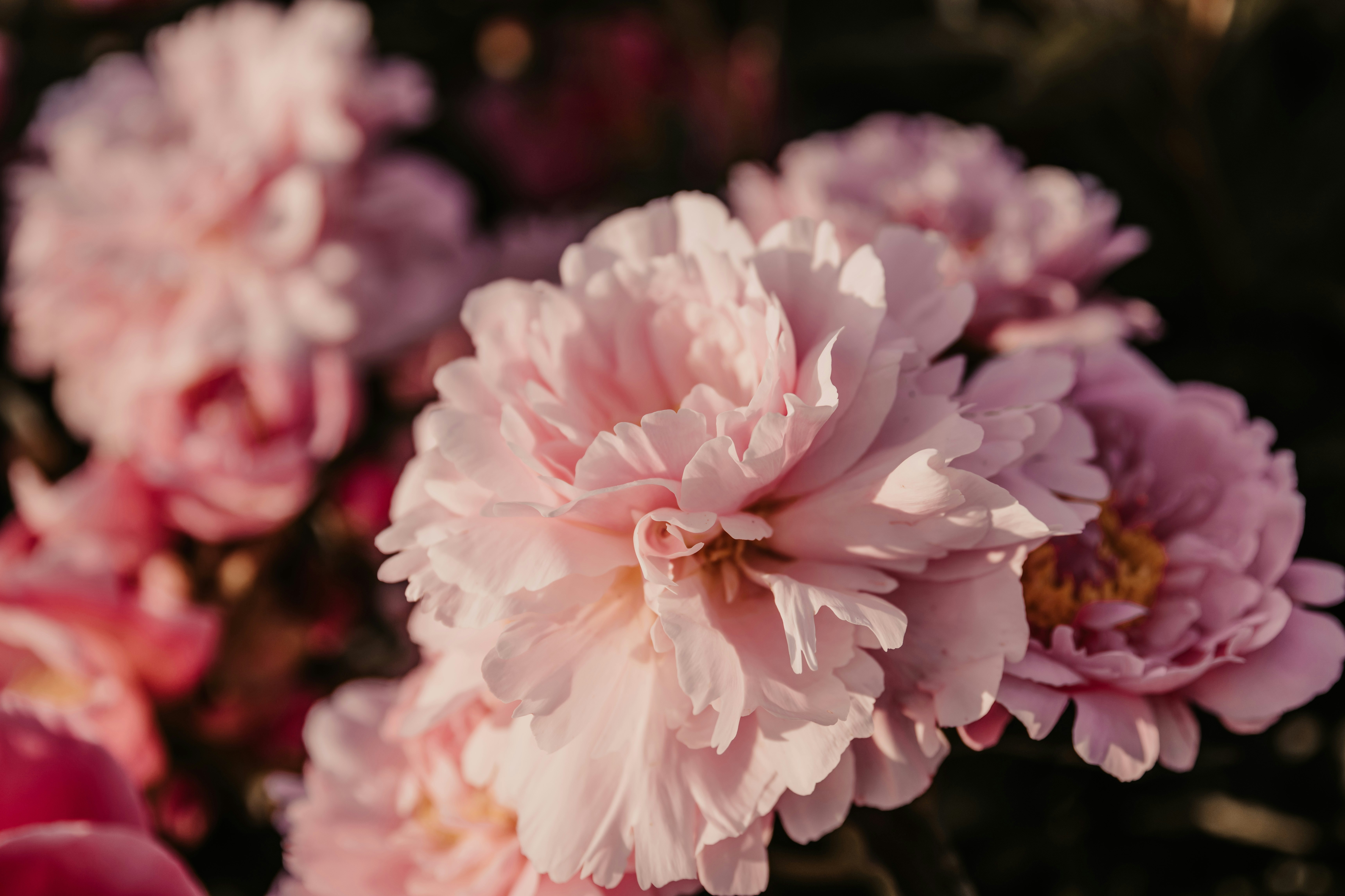 Photo by anitaaustvika