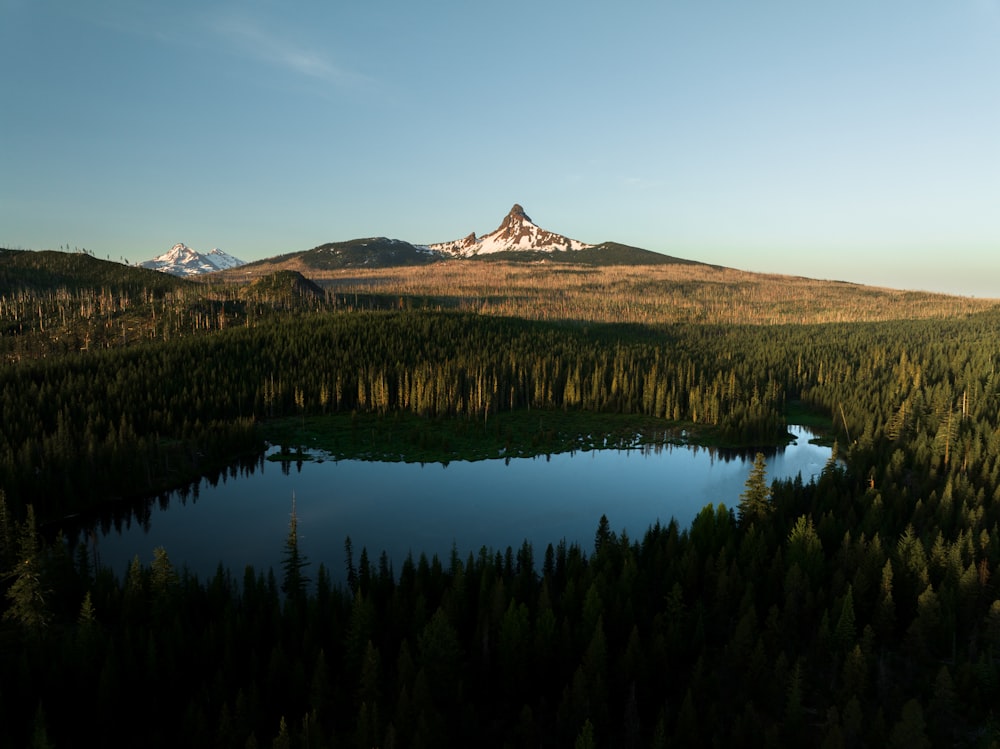 a lake in the middle of a forest with a mountain in the background