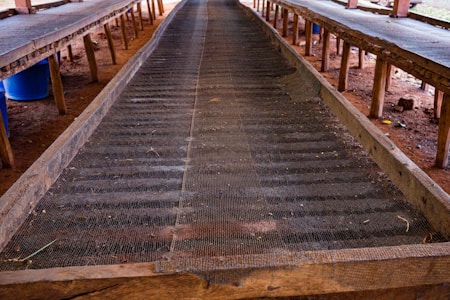 A long, narrow wooden table structure with a mesh surface is placed in an open, rustic environment. The structure appears to be used for drying or sorting purposes. Surrounding it are additional tables of similar design, set on a dirt floor under a simple roof.