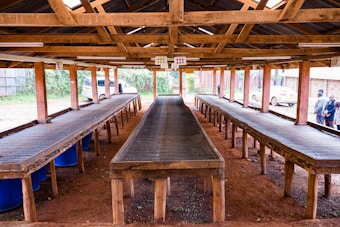 A wooden drying shed with long tables, situated in an open-sided structure. The tables are elevated and appear to be used for drying crops, likely coffee or similar produce. In the background, a vehicle and several people are visible, standing near the entrance.