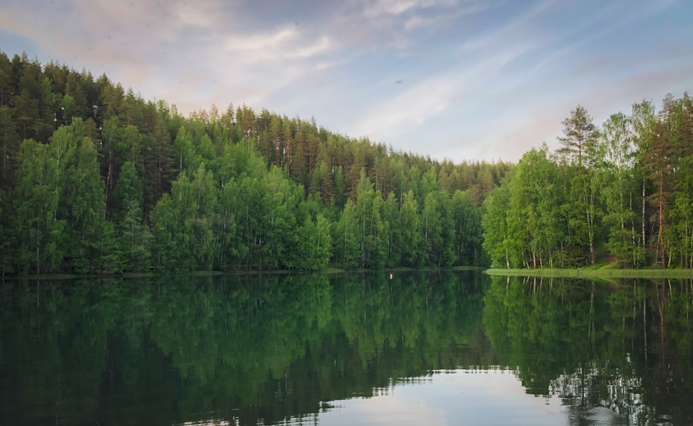 a large body of water surrounded by trees