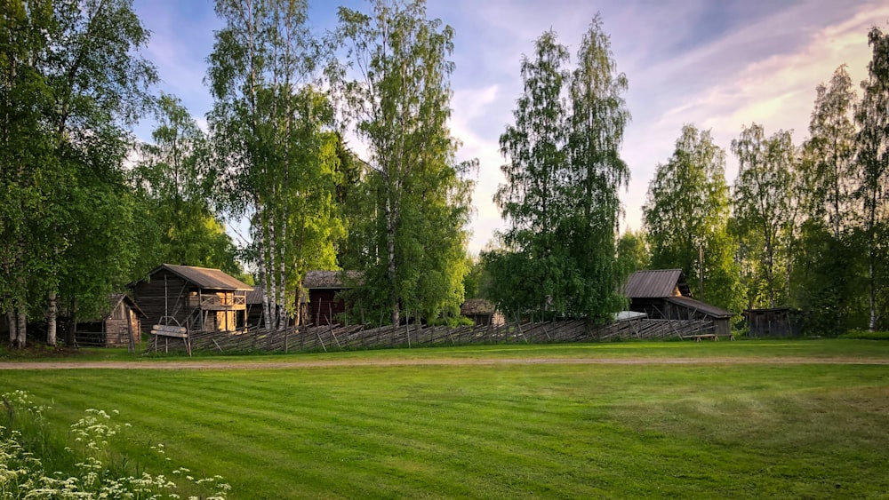 un champ herbeux avec une maison et des arbres en arrière-plan