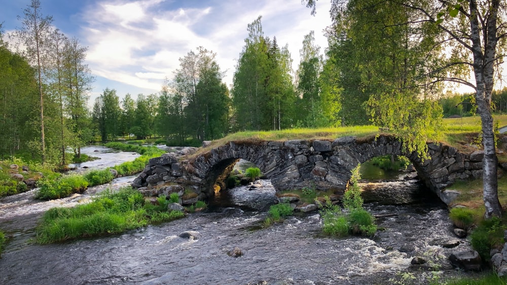 a stone bridge over a river surrounded by trees