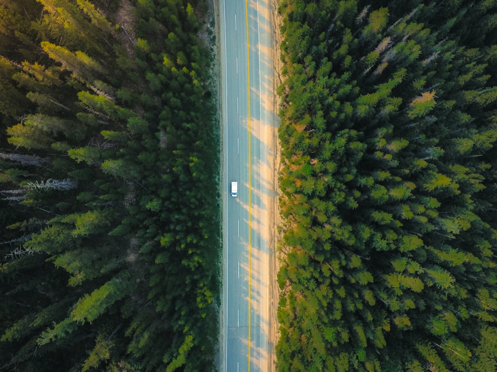 an aerial view of a road surrounded by trees