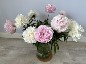 Peony Bliss