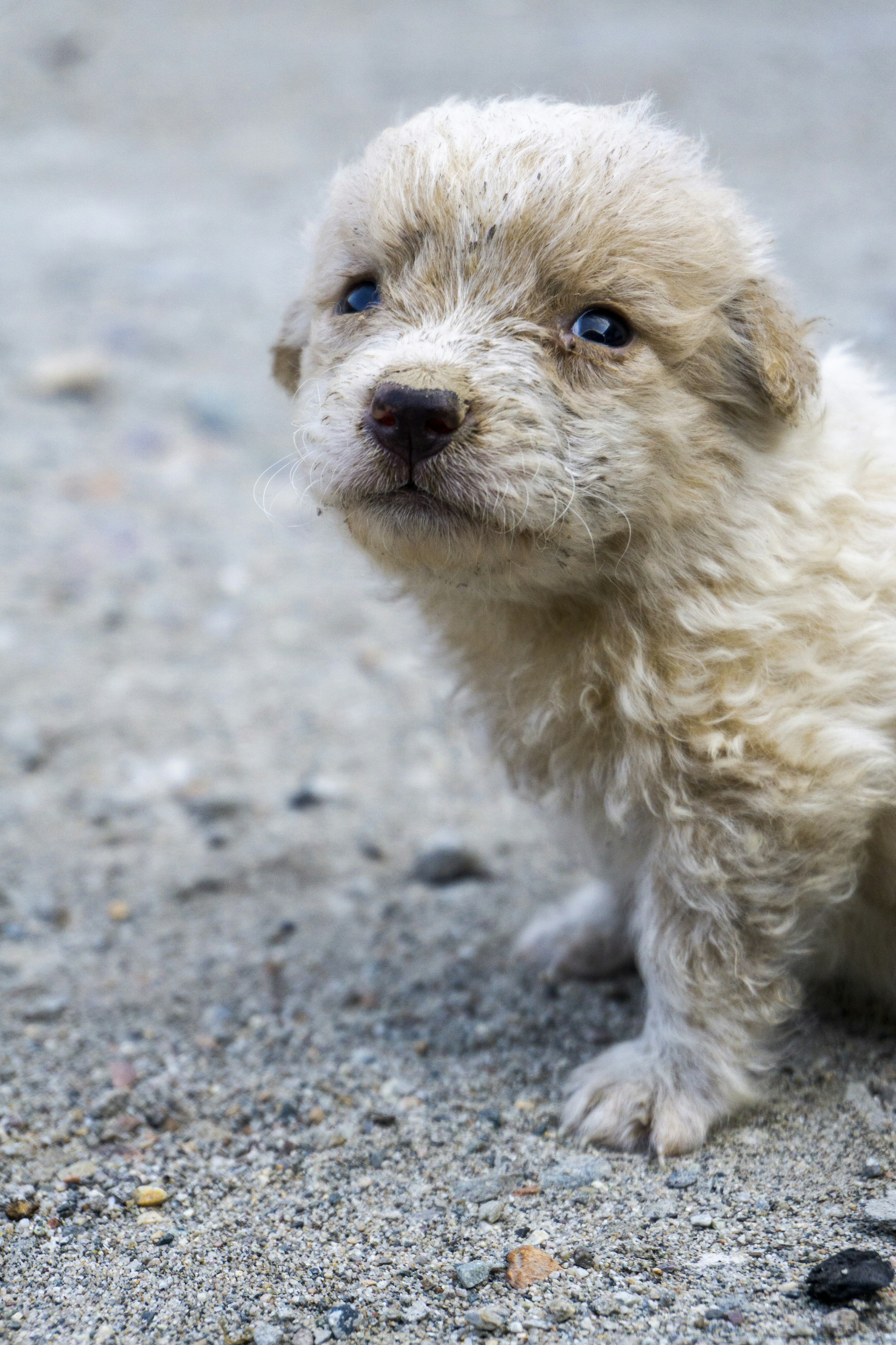 Photo by salmansaqib