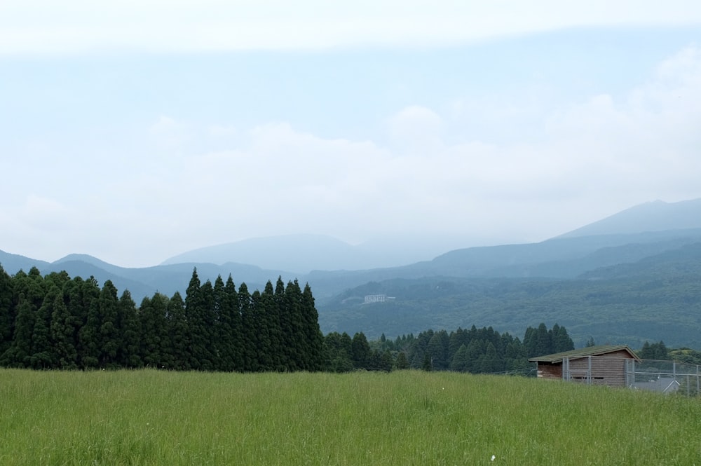 a grassy field with a barn and mountains in the background
