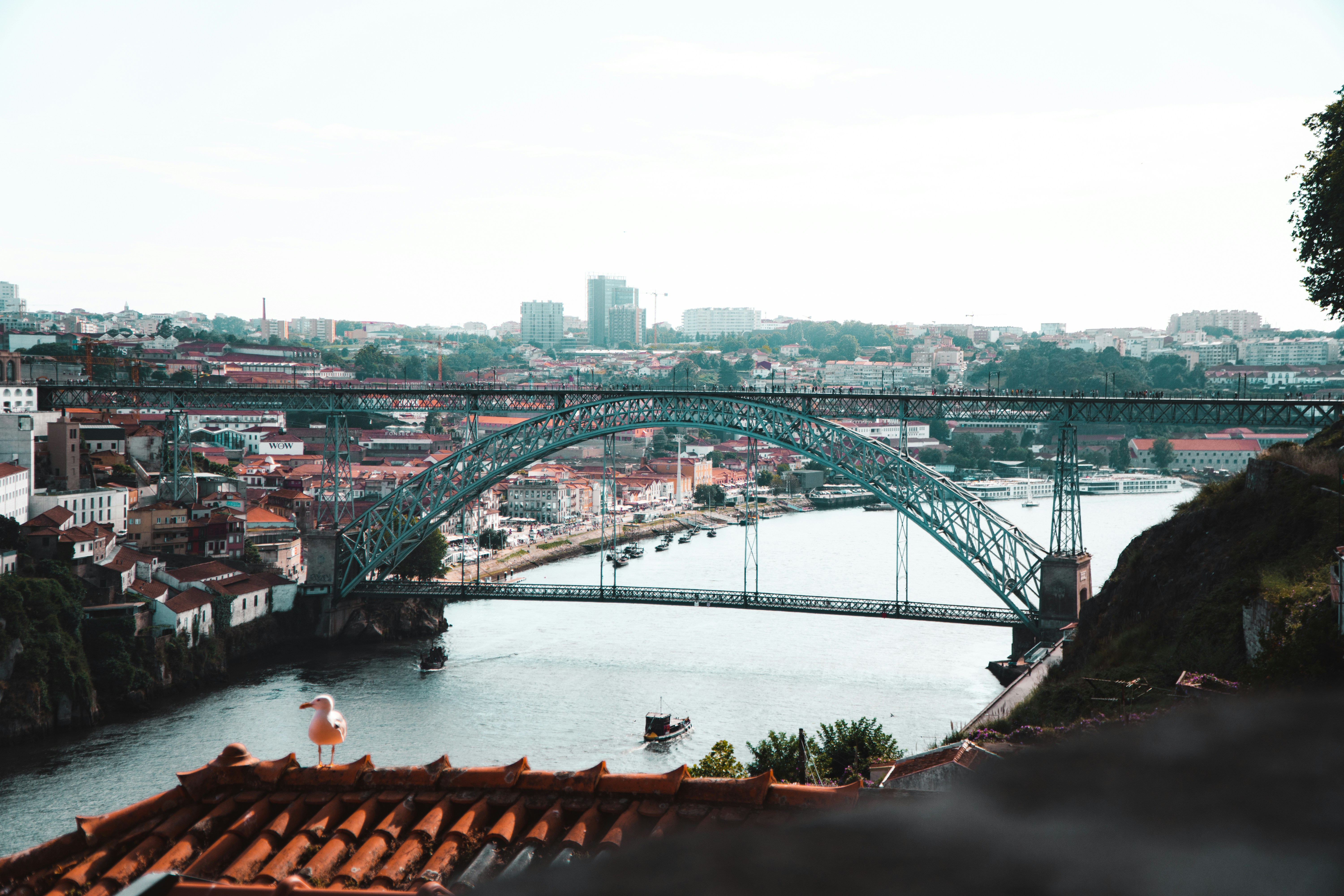 Photo by jarnocolijn