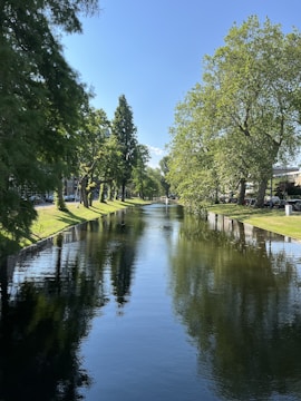 A peaceful river winding through a green urban park at sunrise.