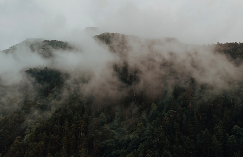 a mountain covered in clouds and trees on a cloudy day