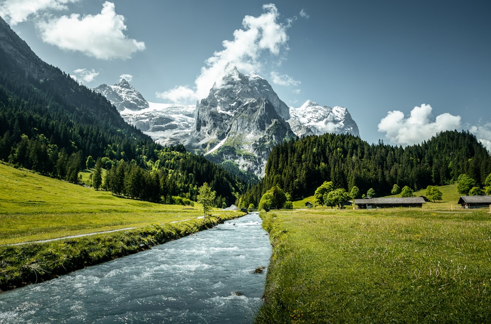 a river running through a lush green valley