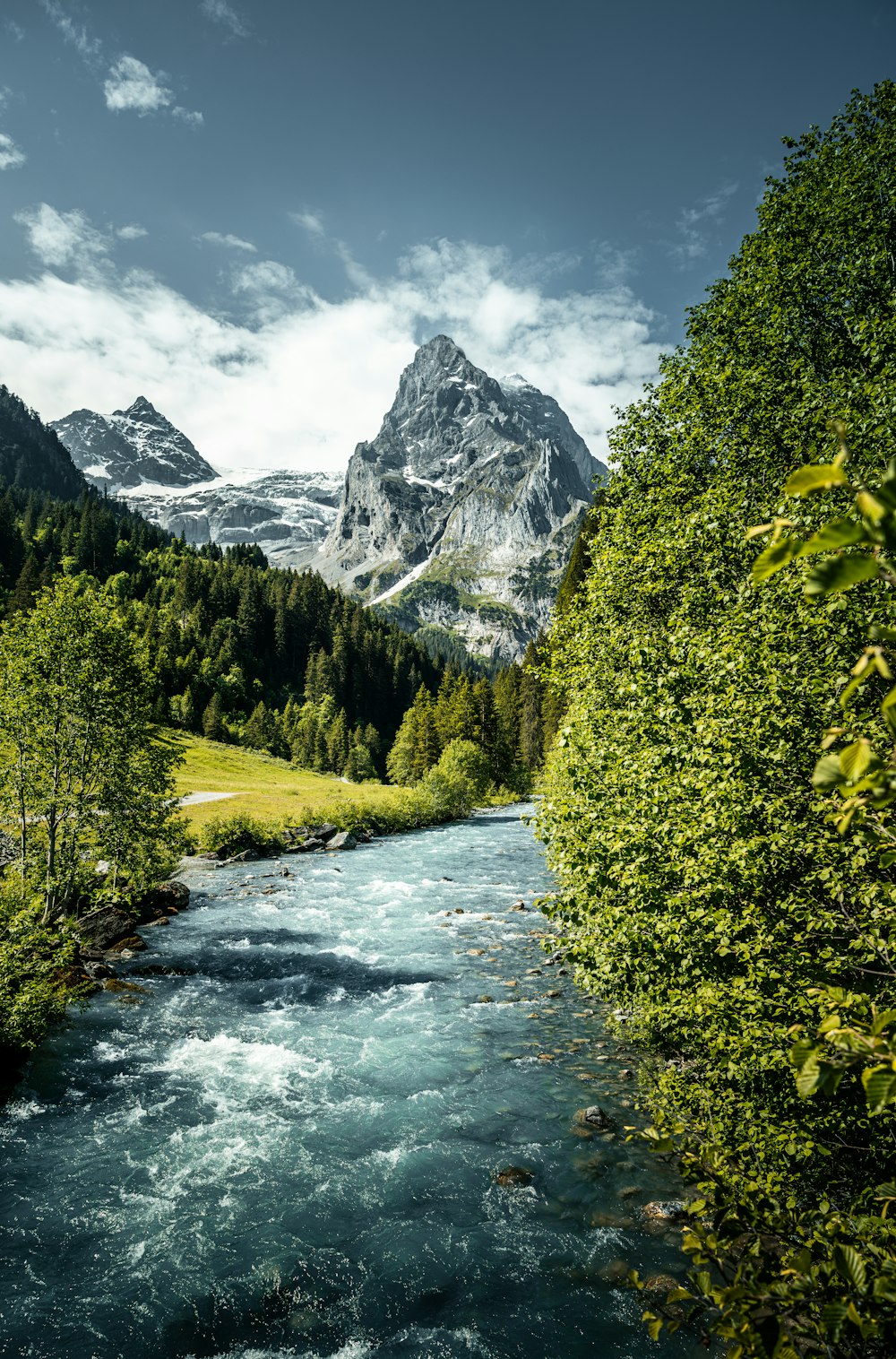 a river running through a lush green forest