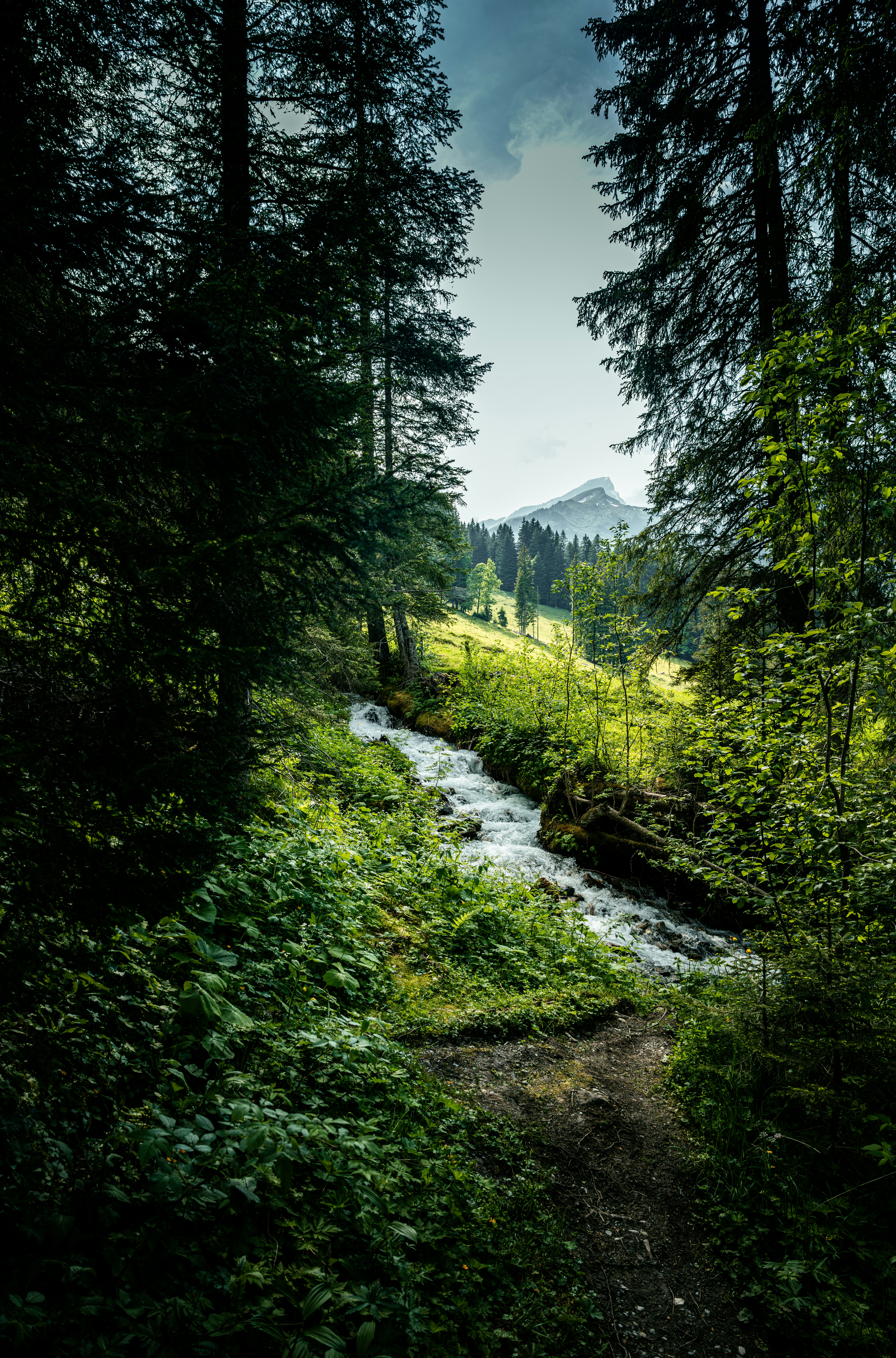 Photo by springsimon