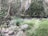 A serene natural landscape featuring a small stream surrounded by lush greenery and trees. The area is filled with rocks and patches of vibrant green grass, with a variety of trees including some with white bark. The scene conveys a peaceful and undisturbed environment, with a clear focus on natural elements.