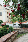 Historic view of the mansion's garden with blooming roses and vintage wrought iron benches.
