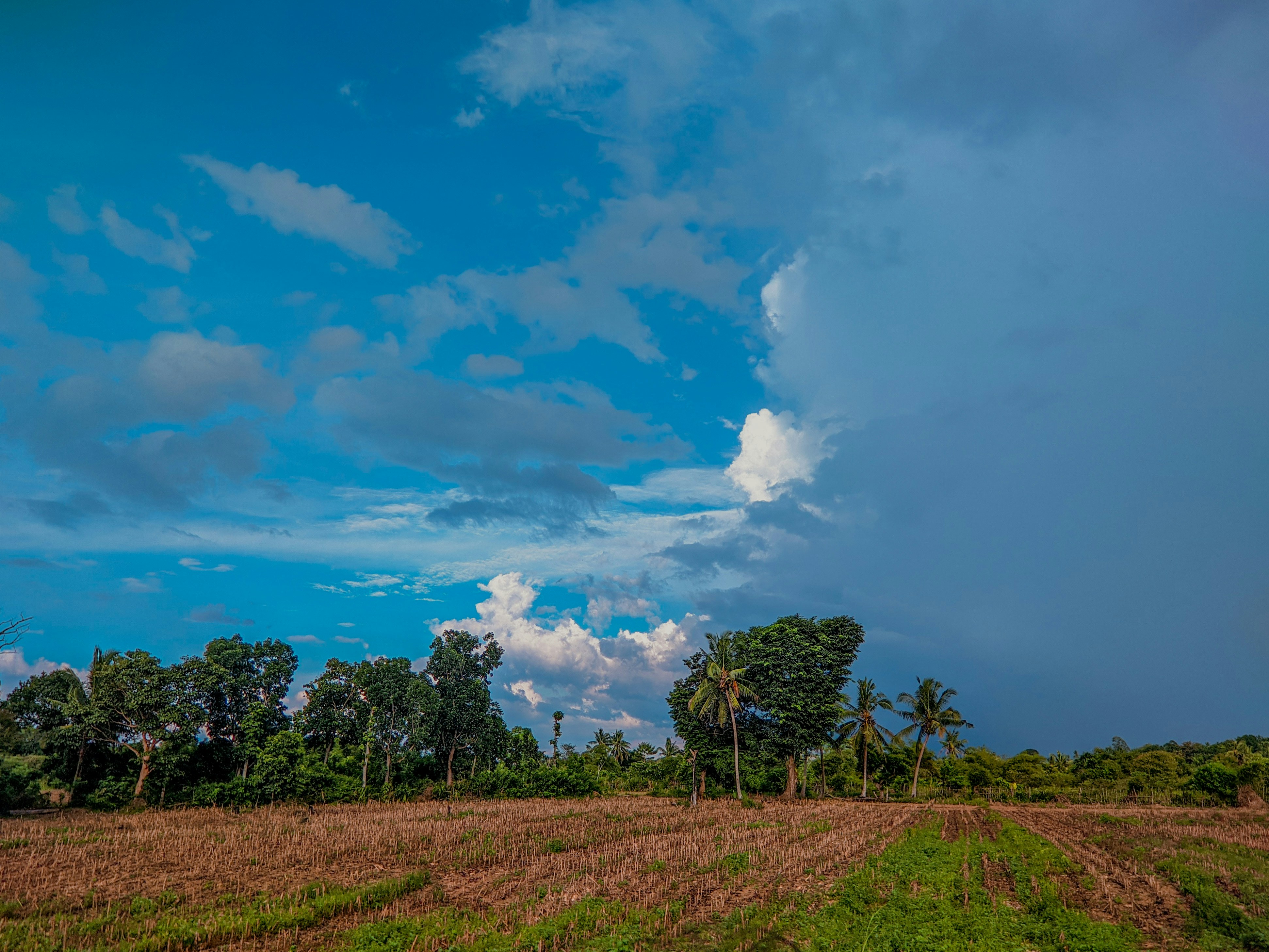 Photo by crea_tenew7