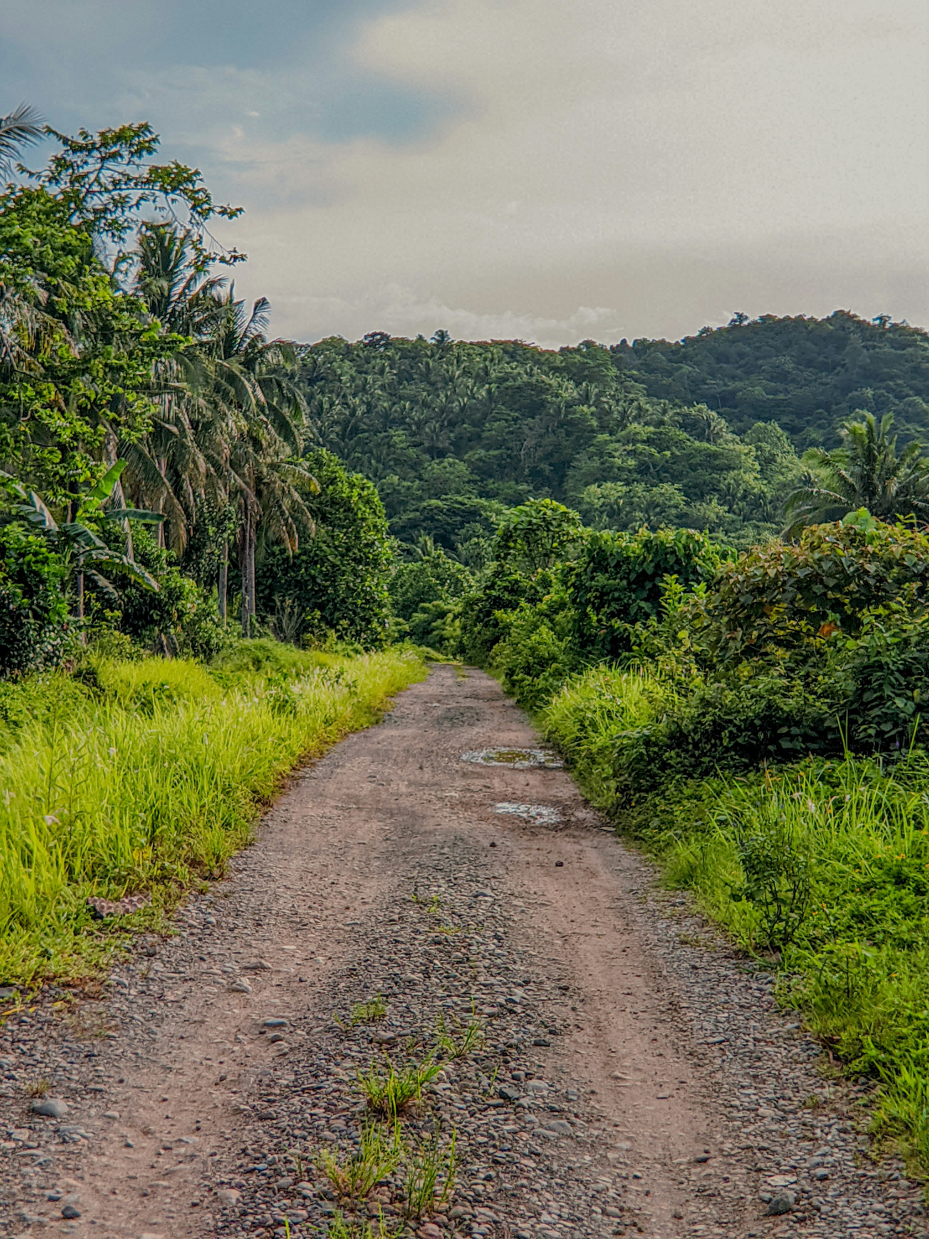 Photo by crea_tenew7