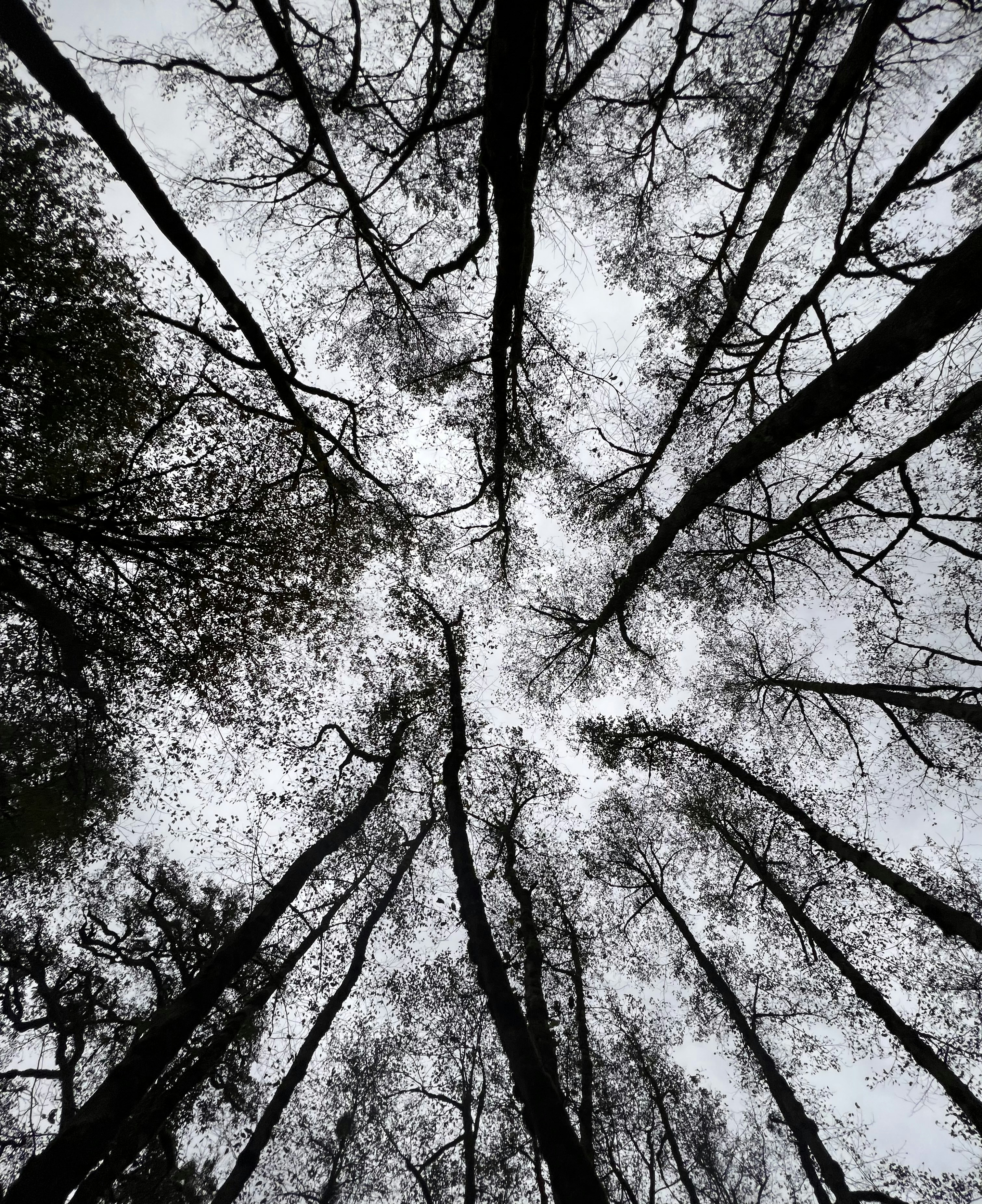 Photo by ahuramaleki