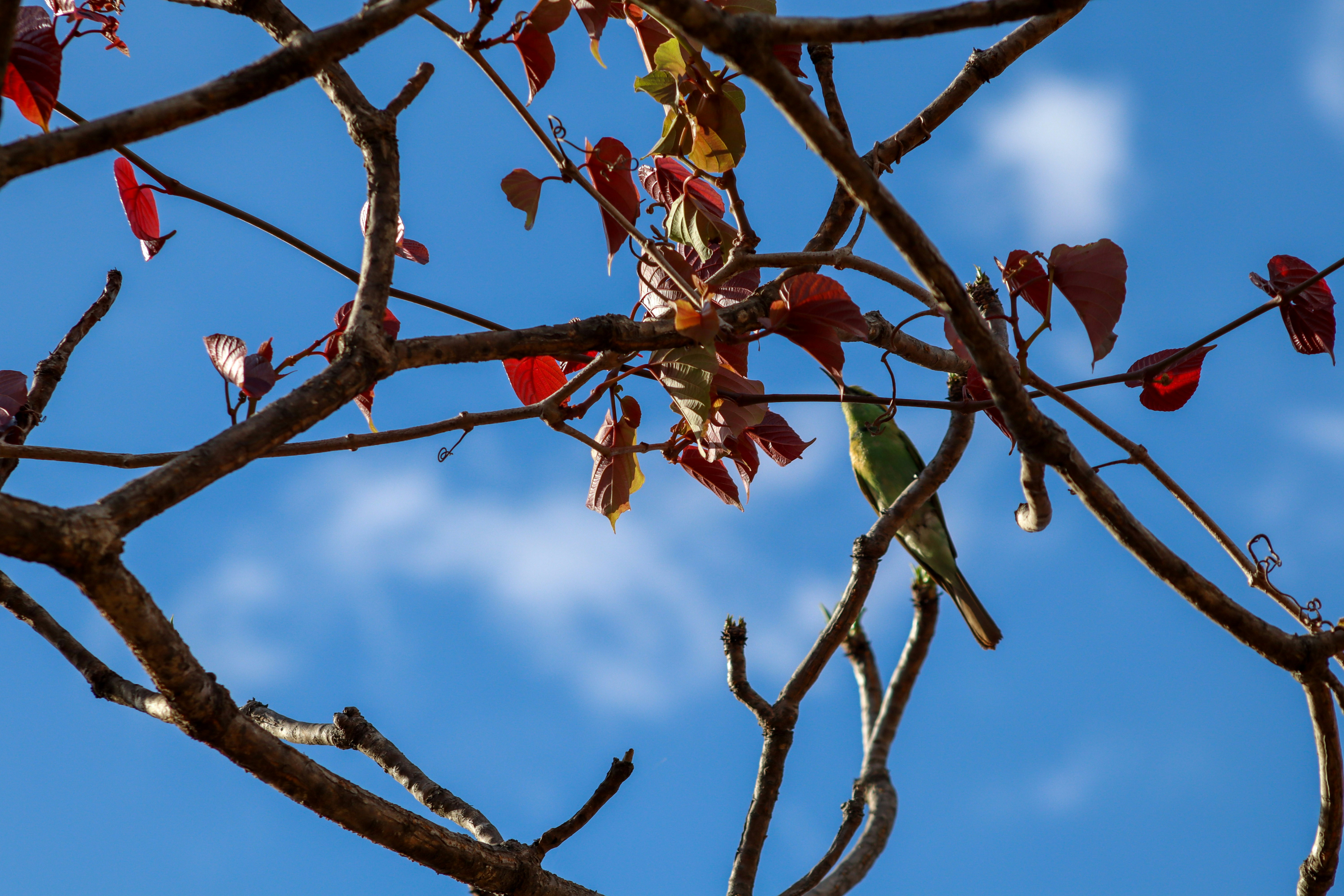 Photo by pushpak_art