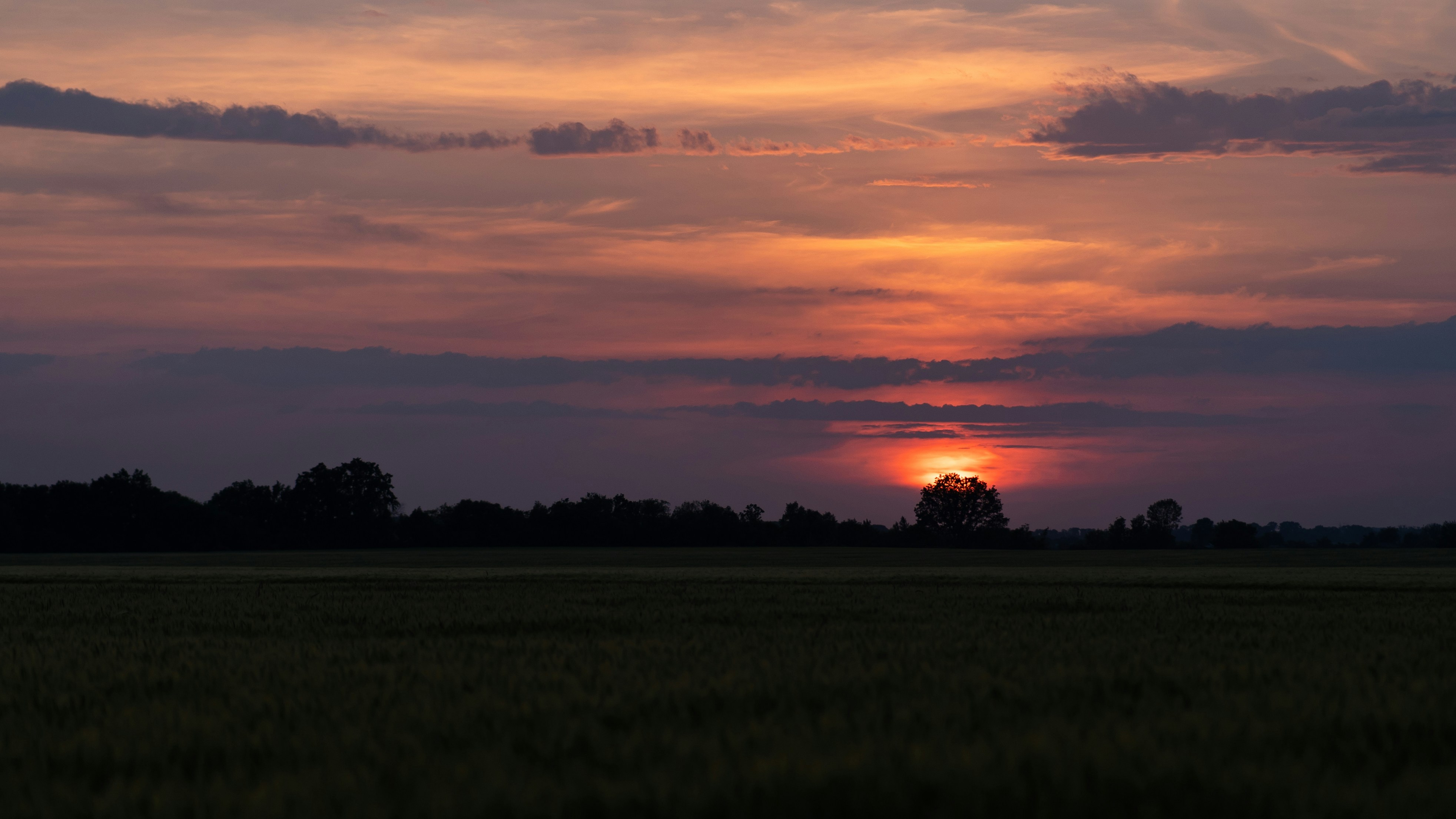 Photo by eugenechystiakov