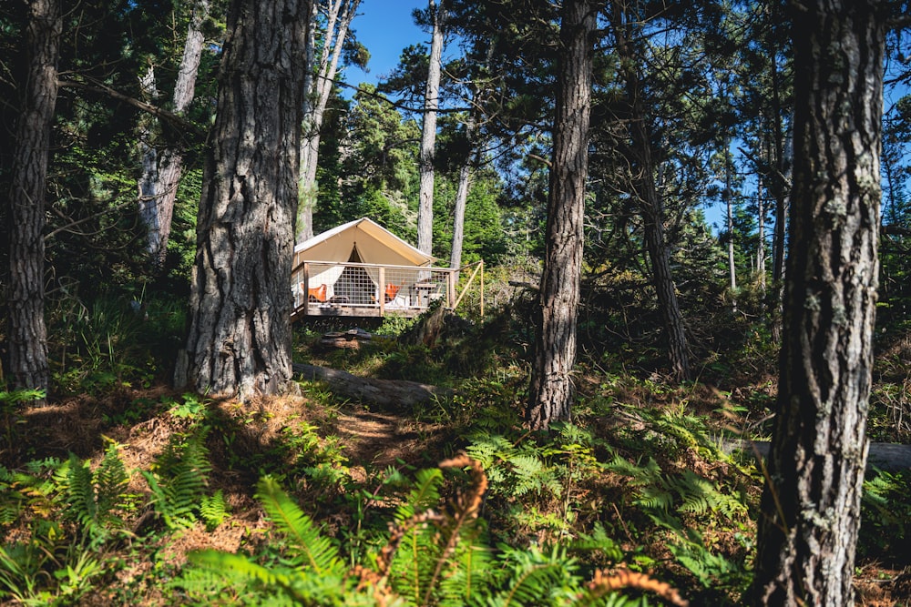 a small cabin in the middle of a forest