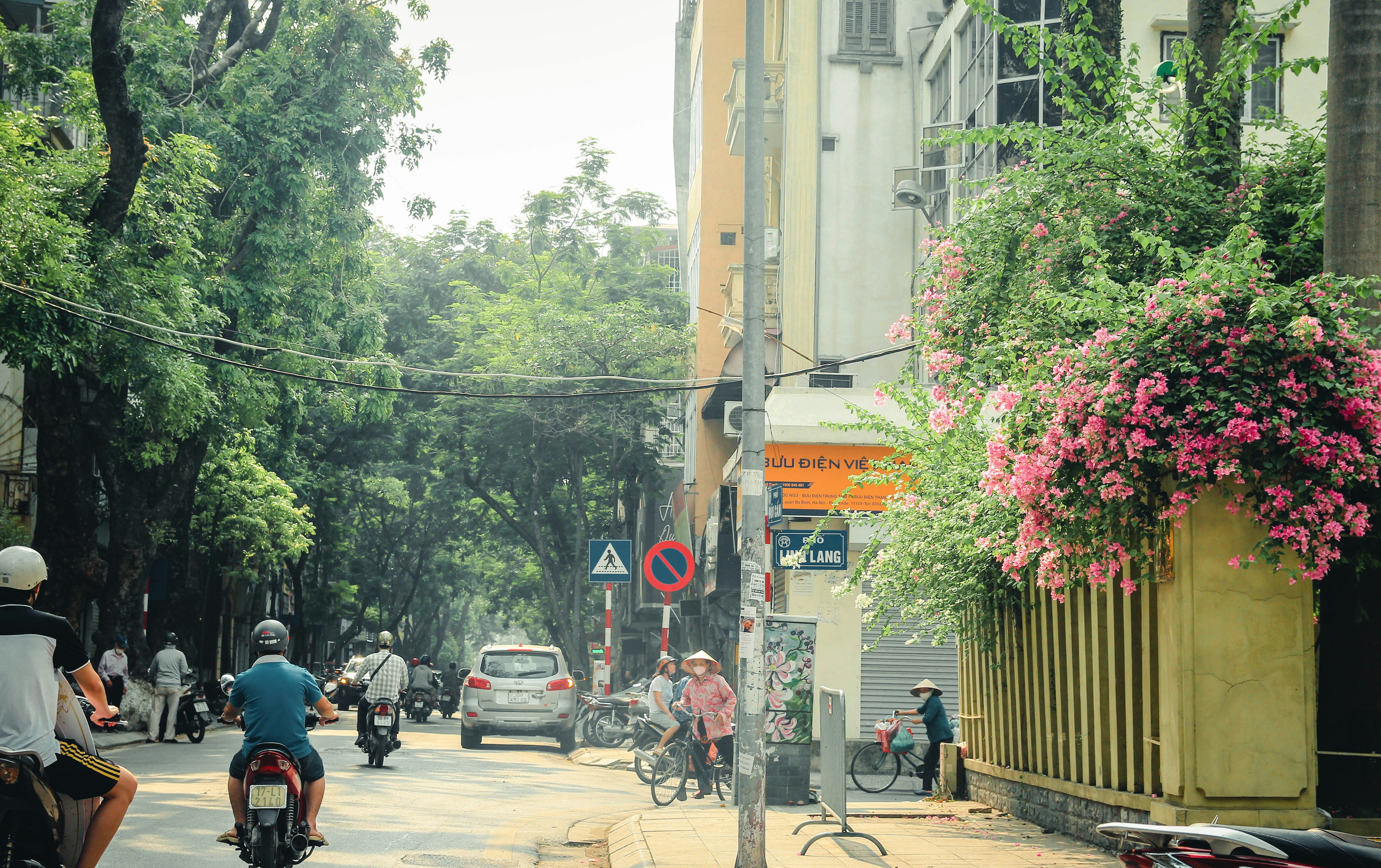 Photo by huyenthanh1128