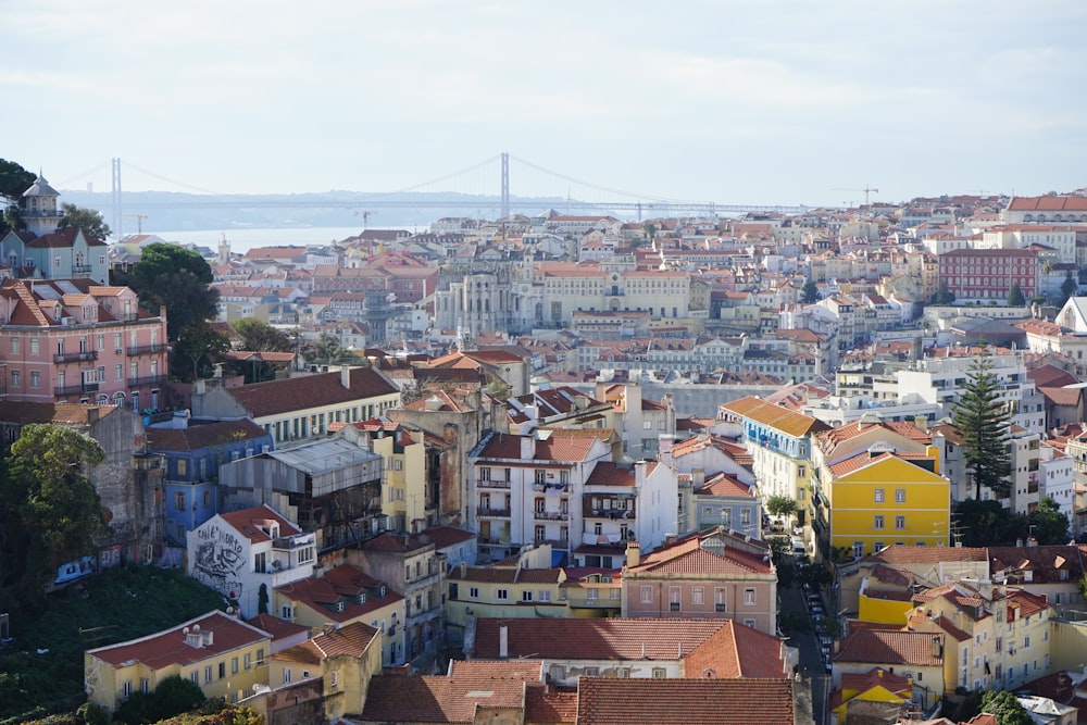 a view of a city with a bridge in the background