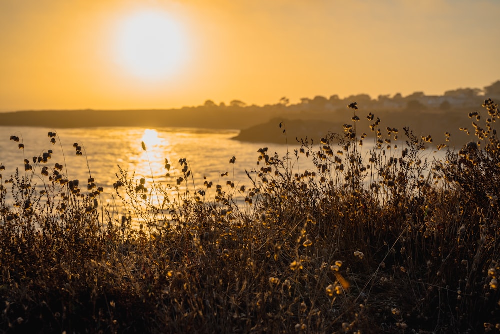 the sun is setting over a body of water