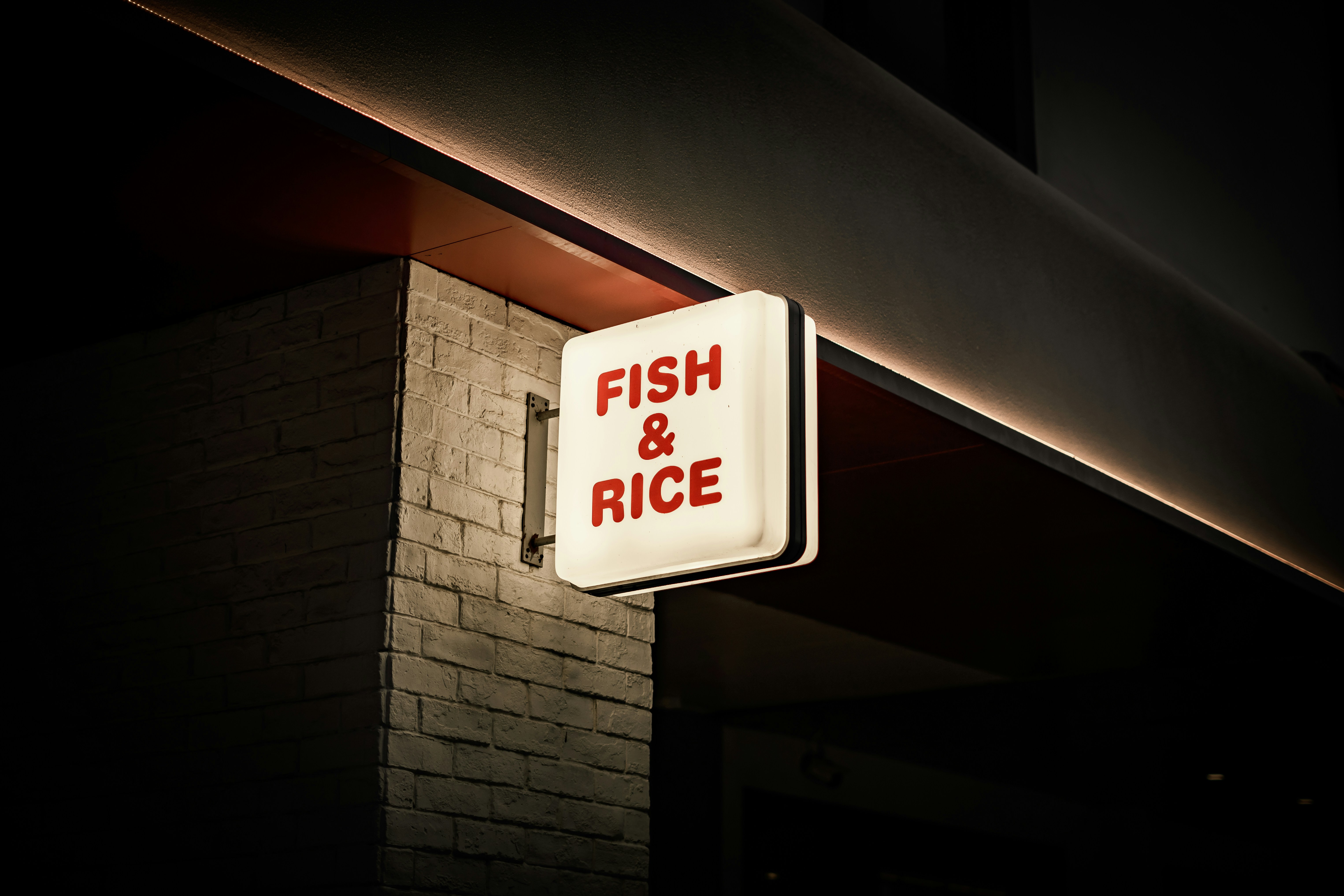 Signs of a Healthy Aquarium Fish Every Owner Should Know