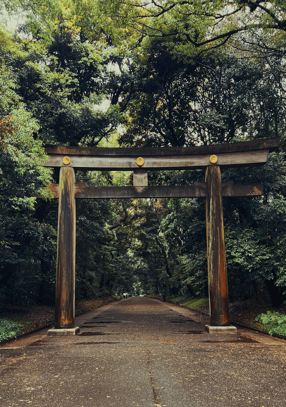 Um grande portão de madeira no meio de uma floresta