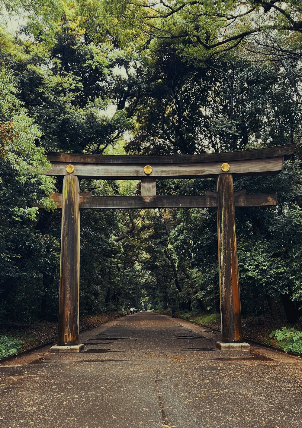 a large wooden gate in the middle of a forest