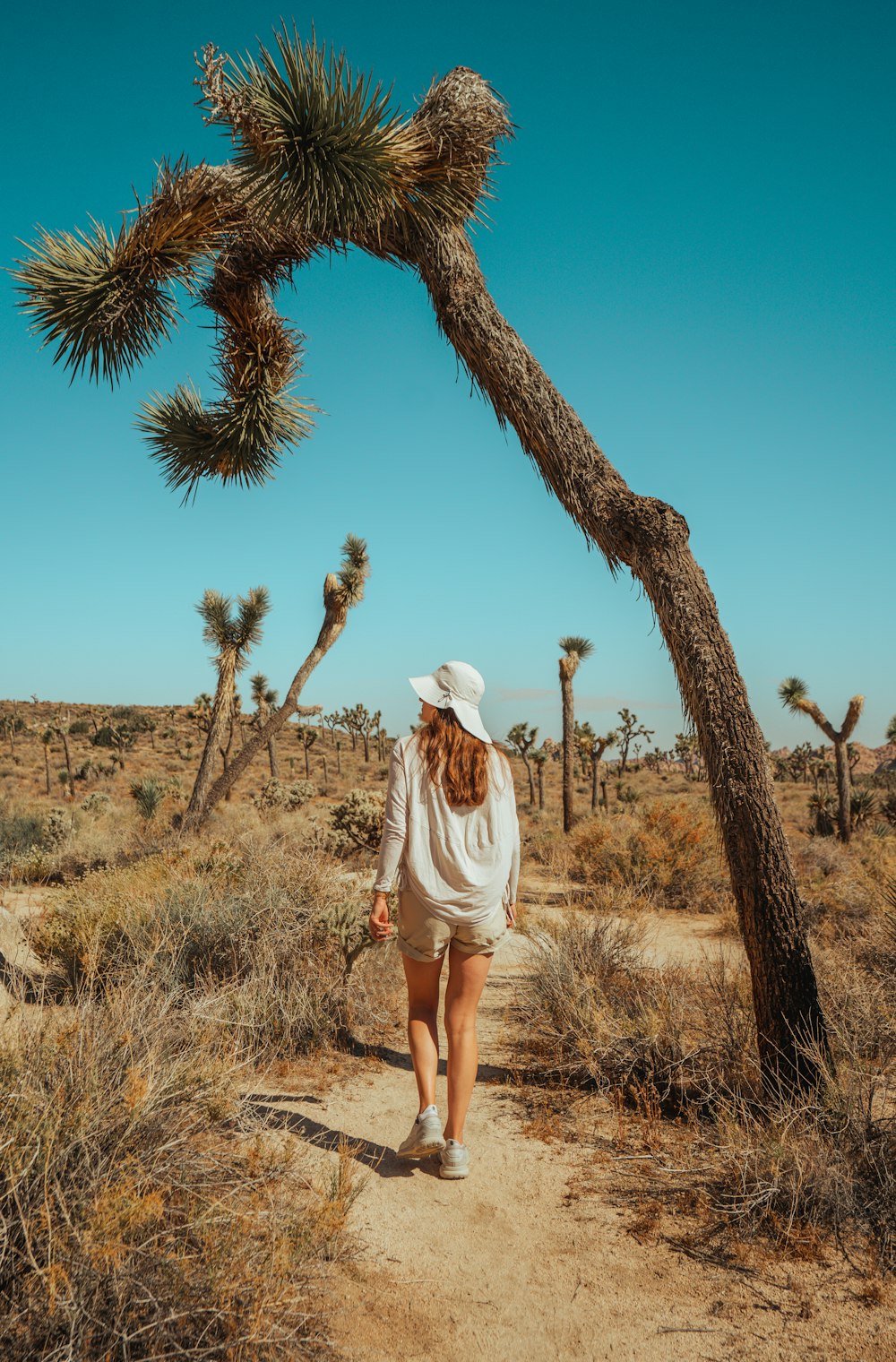 a woman walking down a dirt path next to a palm tree