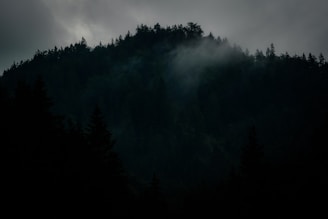 A misty Appalachian forest at dawn with shadows hinting at hidden creatures.