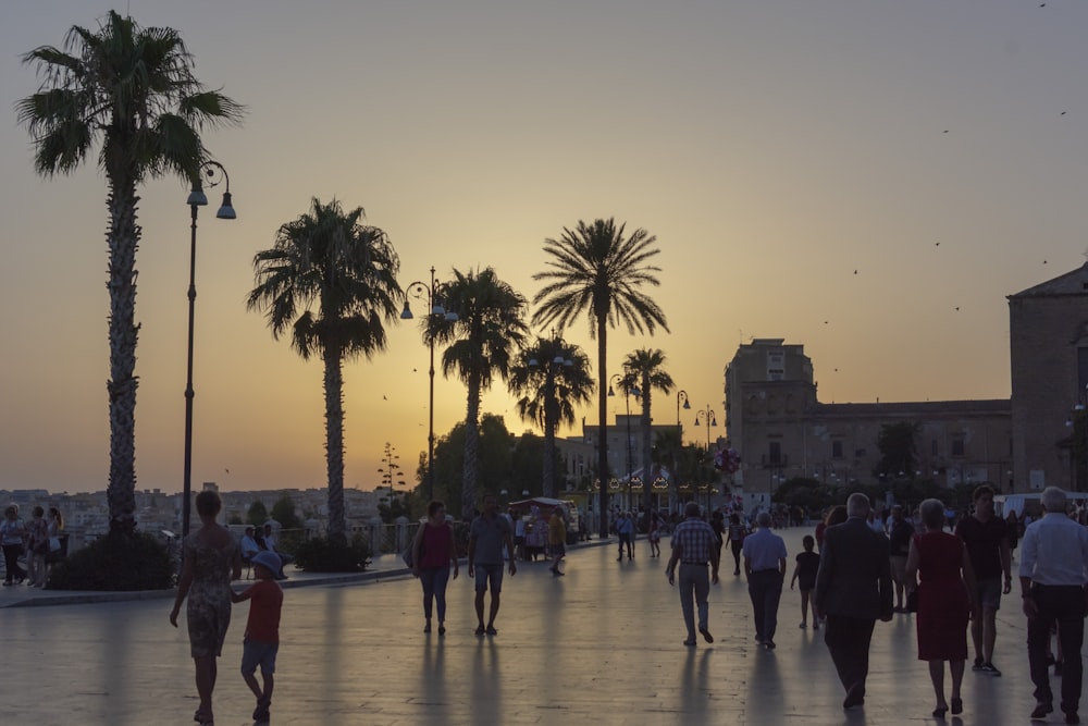 a group of people walking down a street next to palm trees