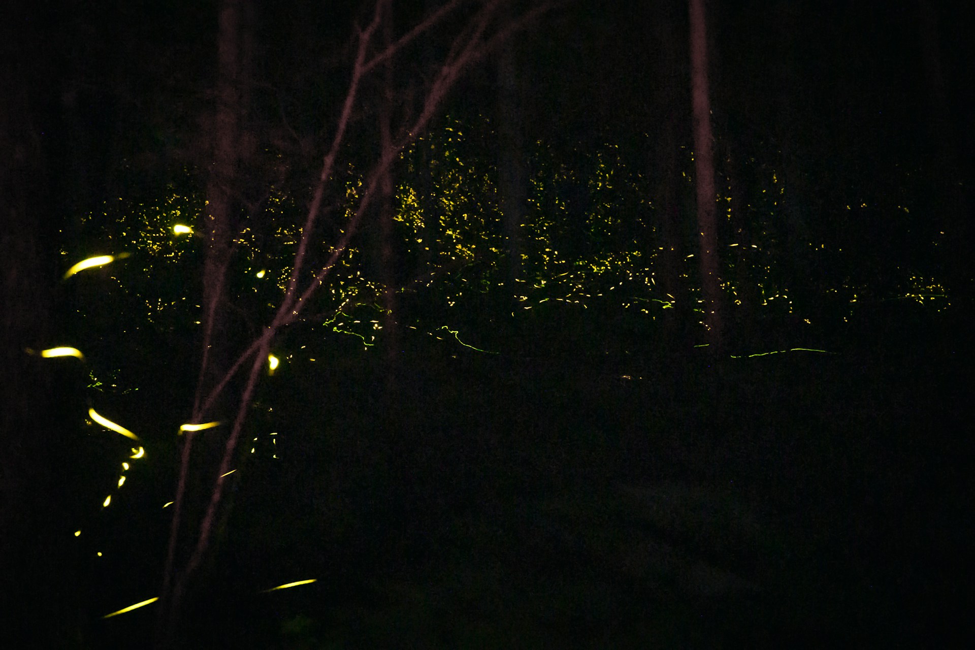 gray computer monitor