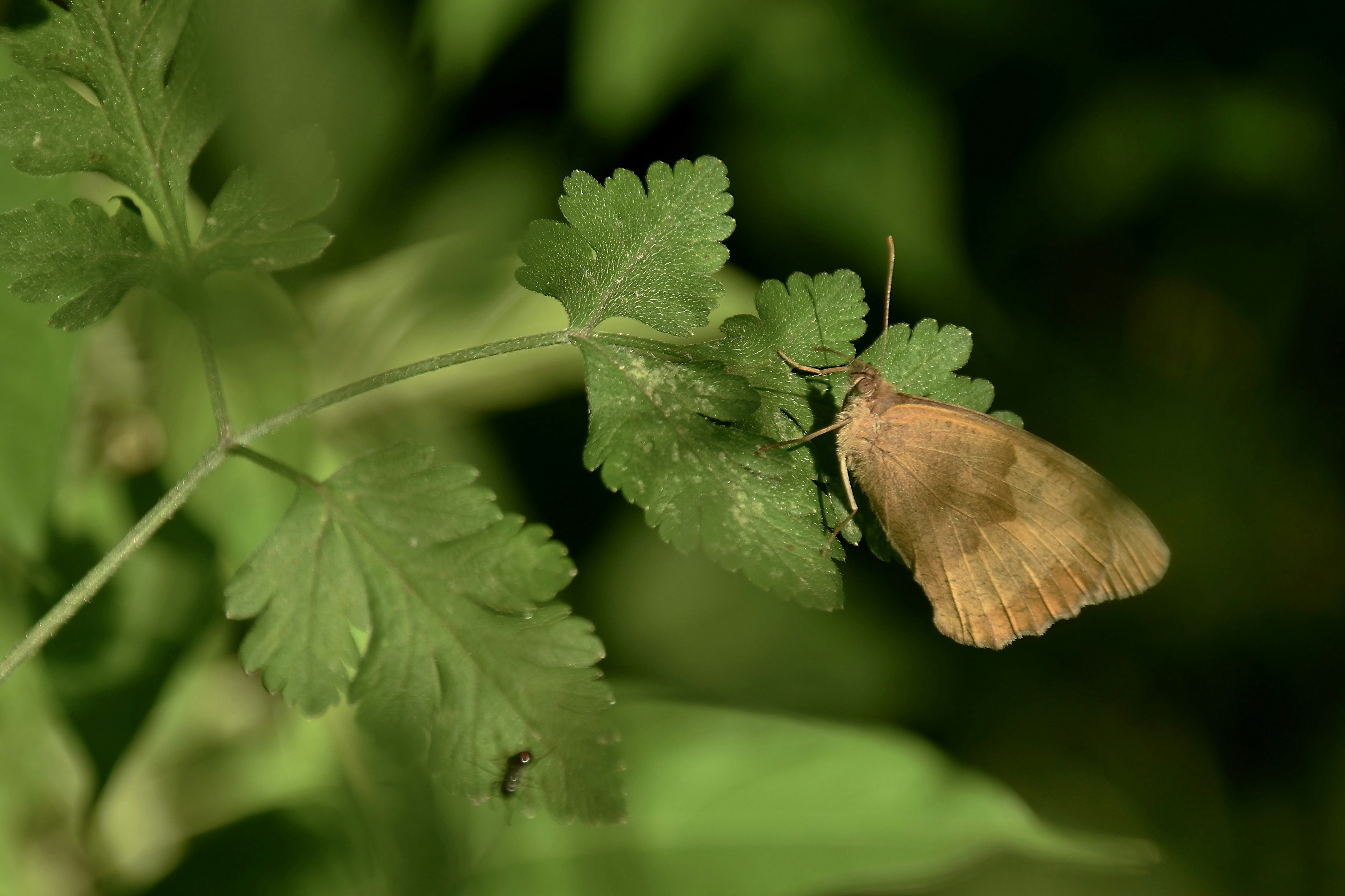 Photo by mariobeducci