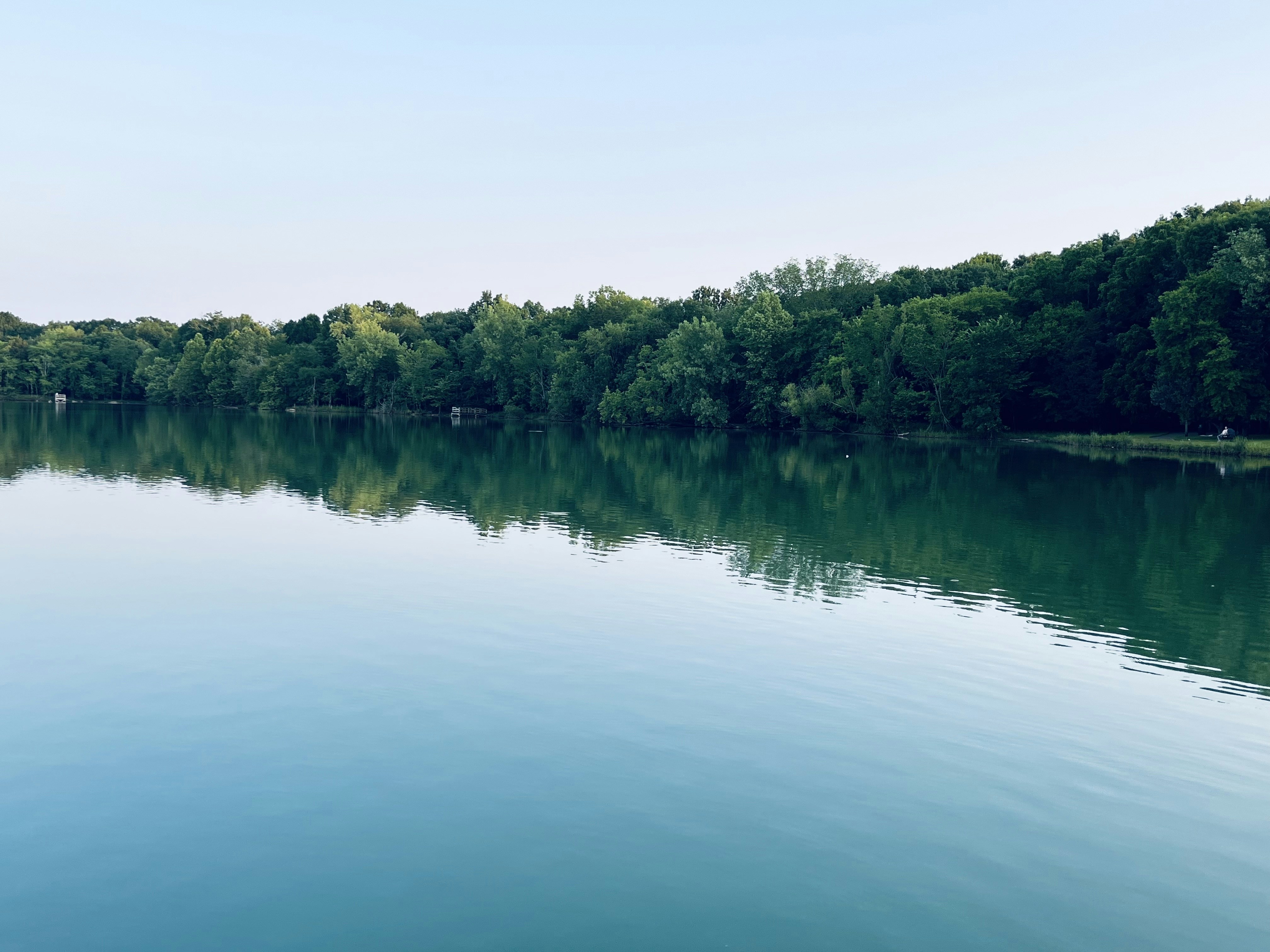 a large body of water surrounded by trees