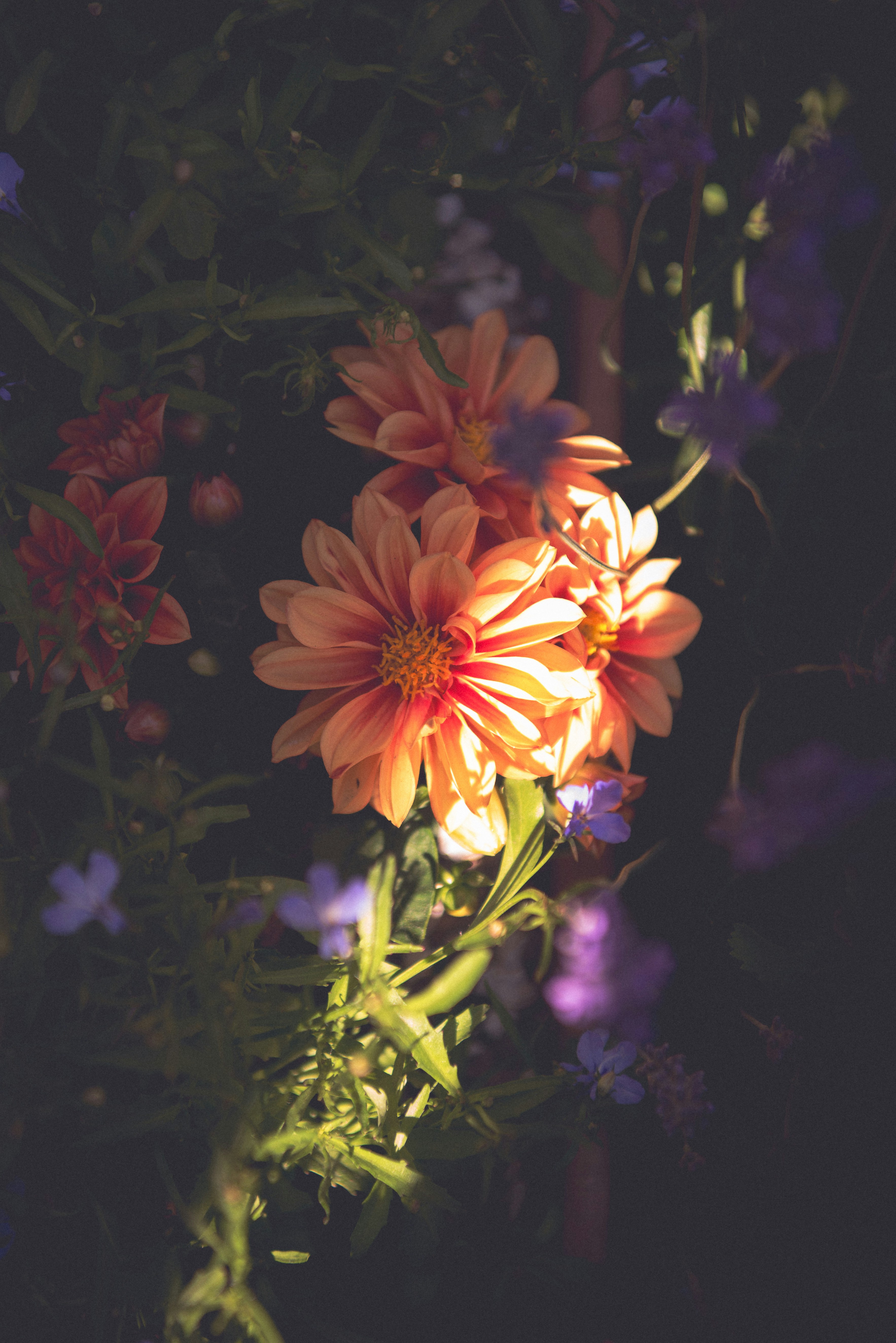 Photo by ellyendeavours