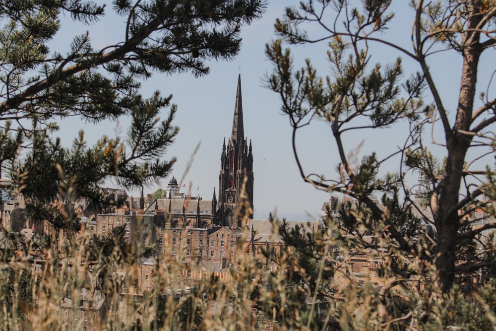 a tall cathedral towering over a city surrounded by trees