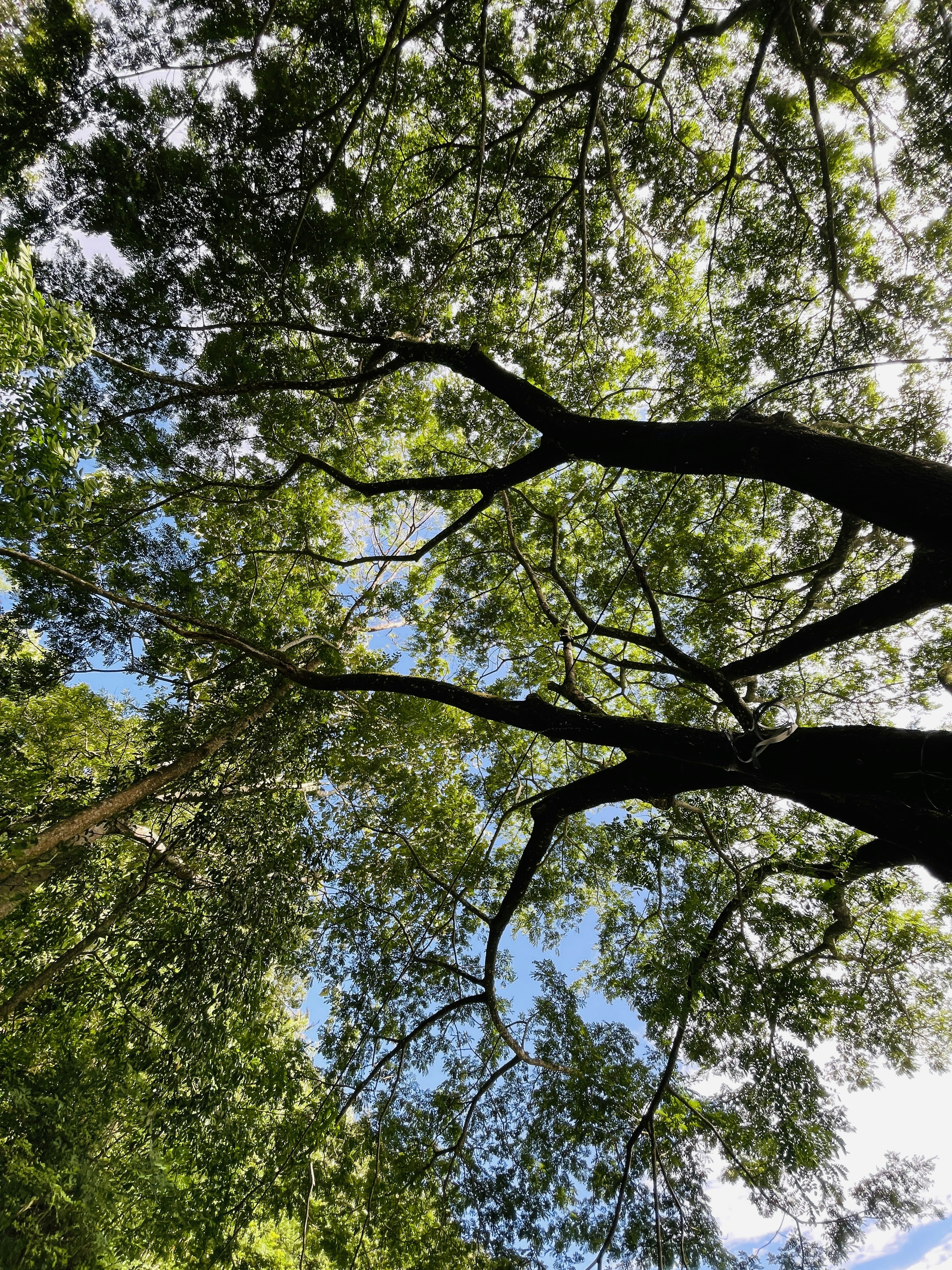 Photo by alann_antony