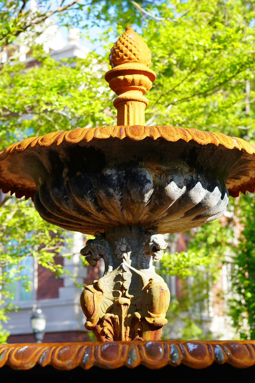 a water fountain in front of a tree