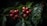 Clusters of ripe coffee cherries attached to a branch with dark green foliage in a low-lit environment.