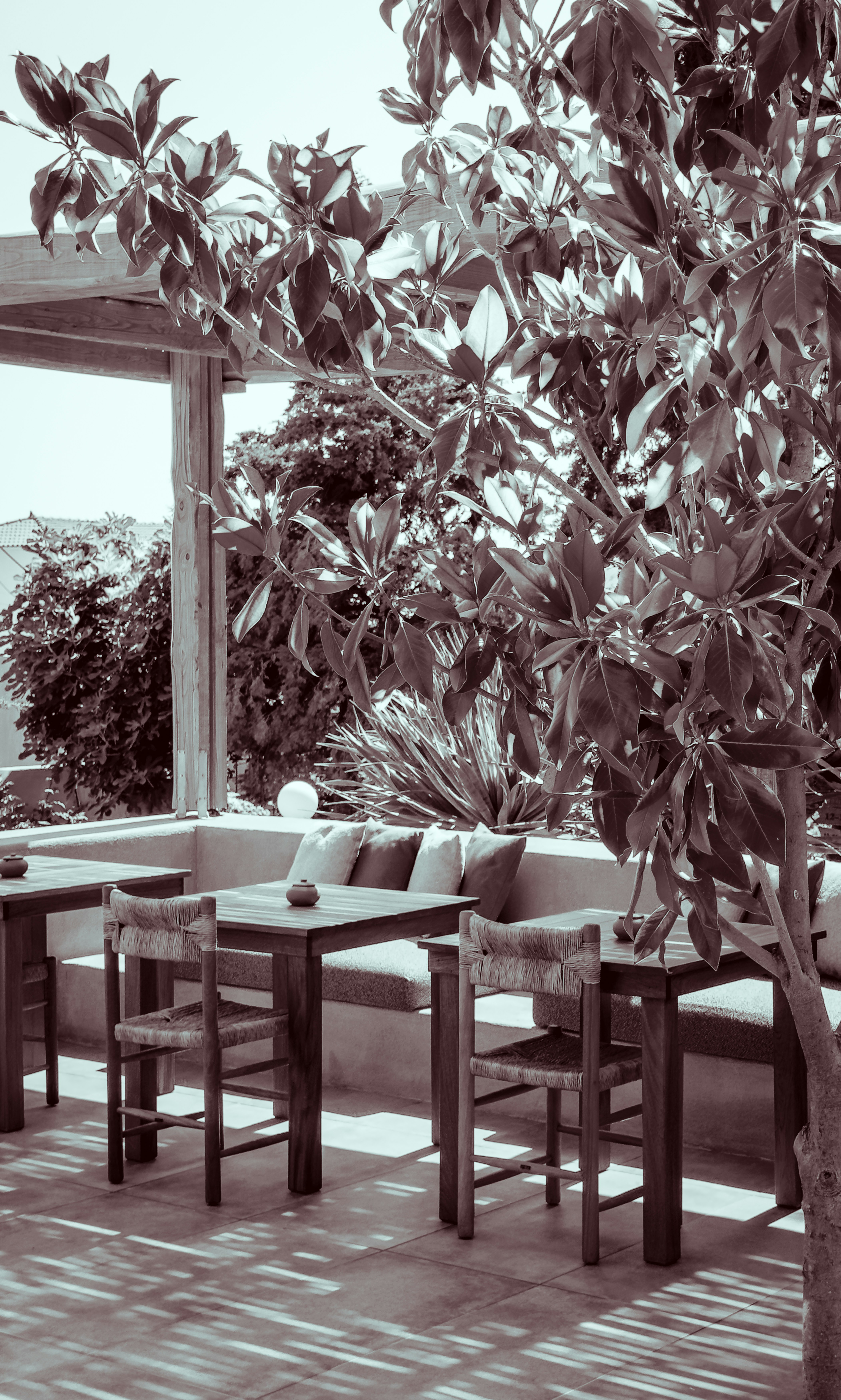 Elegant Garden Furniture Set