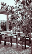 An outdoor patio showcasing premium wooden seating.